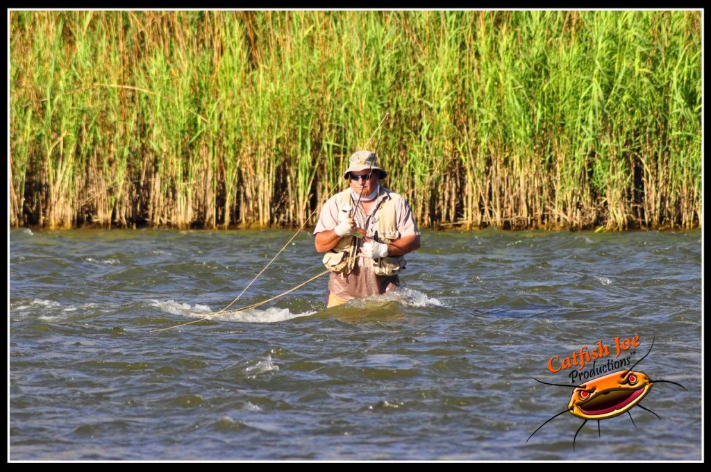 Fly Fishing Photo Gallery Fly fishing for Yellowfish Pictures Smallmouth Yellowfish Photos